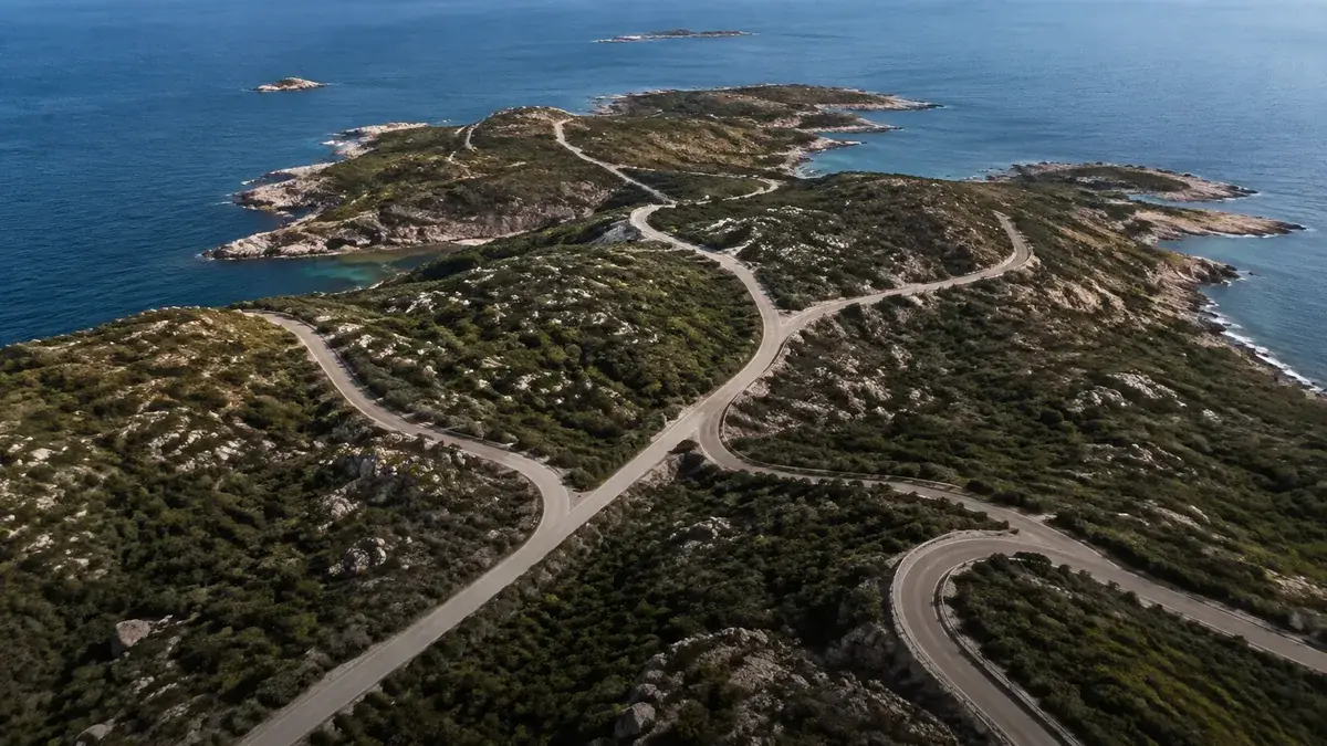 Branching coastal roads suggesting location-specific connectivity