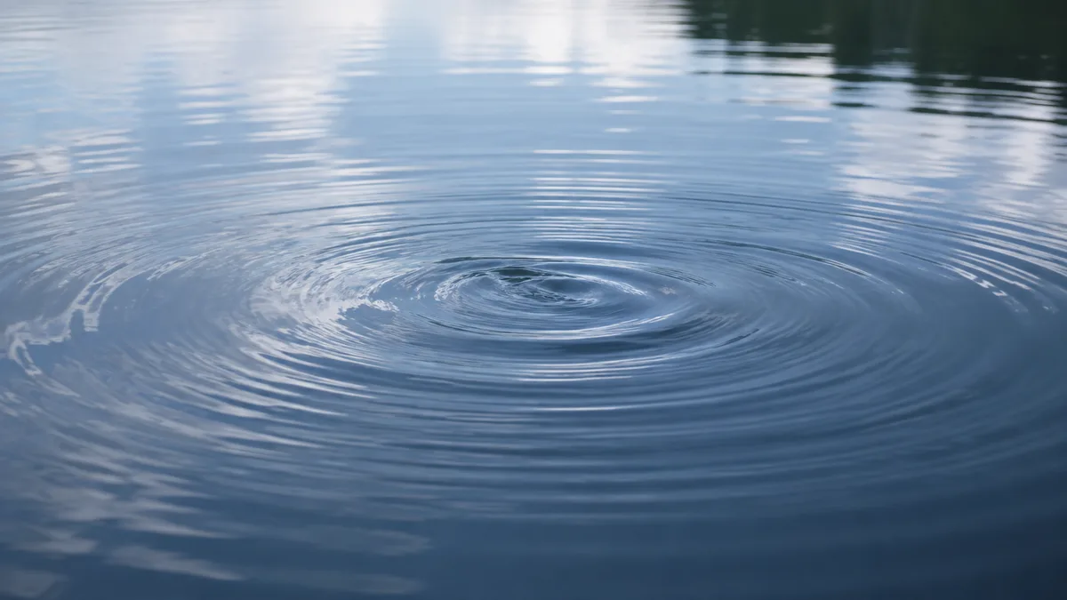 Ripples spreading across still water